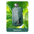 Airis Noble 10000 Spearmint